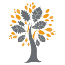 Tennispark "De Oude Eik" | Tennis & Padel logo