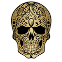 Skull Padel logo