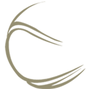 T.C. de Mors | Tennis & Padel logo